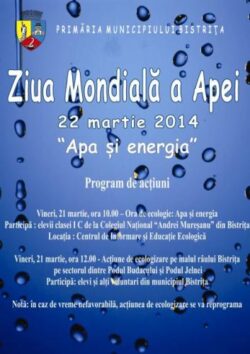 Bistritenii sunt invitati sa celebreze Apa ecologizand malurile raului care le traverseaza orasul