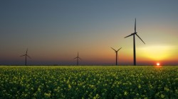 AFM lanseaza sesiunea de depunere a dosarelor de finantare pentru "RO06 Energie regenerabila"- RONDINE,