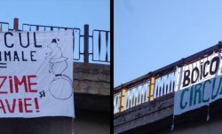 Clujenii, chemati sa boicoteze circul cu animale