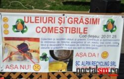 Puncte de colectare pentru uleiul uzat in pietele din Satu Mare