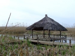 Top 5 locuri in natura aproape de Bucuresti