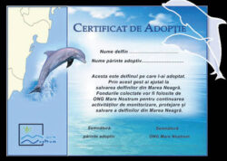 Campania “Adopta un delfin”, initiata in vara anului 2012 de catre ONG-ul Mare Nostrum, continua!
