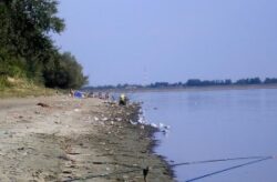 Proiect de ecologizare a celor doua maluri ale Dunarii, semnat la Giurgiu