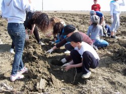 Actiune de ecologizare si plantare in parcul din zona Lamaita