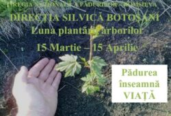 Directia Silvica Botosani continua programul de impadurire a terenurilor degradate
