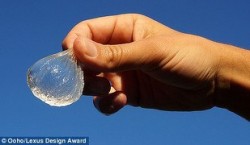 Putem scapa de mizeria poluarii cu sticle de plastic? O inventie premiata ar putea fi solutia