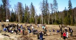 Consiliul Judetean Neamt a informat ca miercuri, 19 martie, reincepe campania de plantari de perdele forestiere.