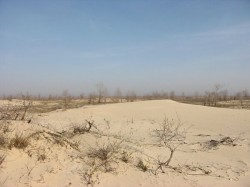 Razboi pentru plajele salbatice din Delta Dunarii