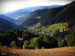Buzoienii se indreapta cu preponderenta, spre afaceri dezvoltate in mediu rural