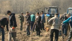 Ziua Internationala a Padurii: Mii de pomi saditi in mai multe raioane din Republica Moldova