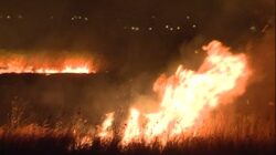 Trei hectare de stufaris din rezervatia protejata de la Sic au fost distruse ieri de flacari