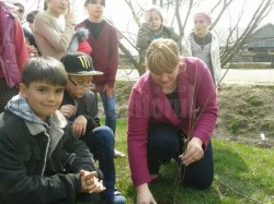 Lectii de plantat pomi pentru 160 de elevi