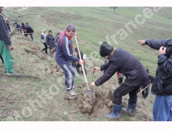 3.500 puieti plantati la Dumitresti, judetul Vrancea