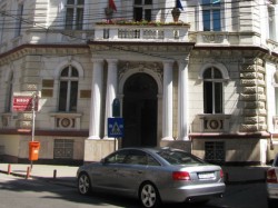 Amanare pe distrugerea padurii din Nadas