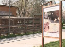 „Natura mai aproape de tine”, la Complexul Muzeal de Stiinte ale Naturii Constanta
