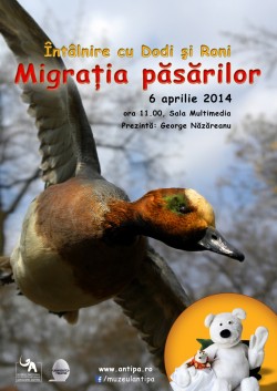 Pe 6 aprilie, la Muzeul Antipa, puteti afla cum se comporta pasarile migratoare in decursul unui an