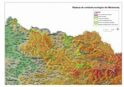 Viziunea WWF pentru conservarea ursului brun: habitate intinse si neintrerupte