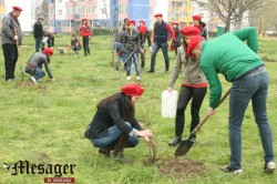 TSD Constanta a derulat o ampla actiune de plantare de copaci in parcul din cartierul Poarta 6