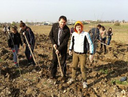 Incepe actiunea de plantare in Padurea Clujenilor