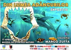 Expozitie temporara “Din lumea adancurilor”, la Muzeul de Stiintele Naturii din Suceava