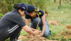 “Luna plantarii arborilor” cu liceeni reghineni