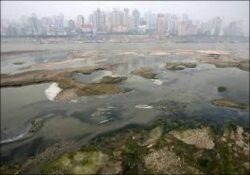 Oficialii chinezi spun lucruri trasnite: Ce legatura este intre poluare si afumarea slaninii?