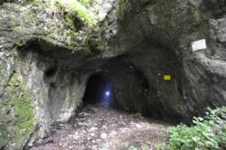 Specii unice in pestera Ciur-Izbuc din judetul Bihor