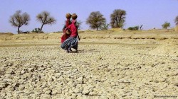 Parteneriat germano-roman pentru prevenirea schimbarilor climatice