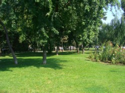 Incepe modernizarea urbanistica a spatiilor verzi din cartierele Drumul Taberei si Militari