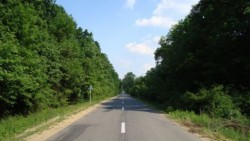 Perdele forestiere de protectie de-a lungul A2. Romsilva va incepe in aceasta toamna sa le planteze