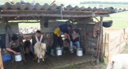 Sapte francezi ajung pe 26 aprilie la Roman, pentru un stagiu de pregatire practica in agricultura biologica.