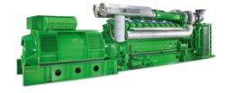 Bulgarii mizeaza pe biomasa gazificata pentru independenta energetica