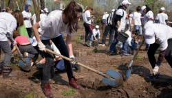 Peste 8.000 de puieti de stejar au fost plantati in Parcul Natural Comana de voluntari ai Asociatiei MaiMultVerde