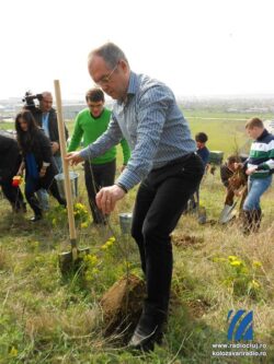 Incepe actiunea de plantare in Padurea Clujenilor