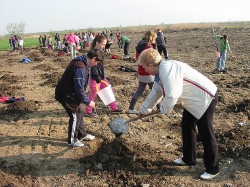 Peste 18.000 de puieti vor fi plantati la Capleni, Satu Mare