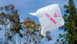 Statele membre UE, obligate sa reduca utilizarea pungilor de plastic
