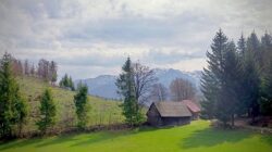 Se lanseaza site-ul oficial al destinatiei de ecoturism Mara-Cosau-Creasta Cocosului din Maramuresul istoric