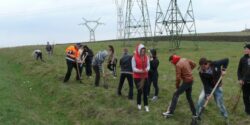 Ampla campanie de plantare de copaci demarata de Primaria Falticeni