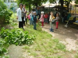 20 de milioane de lei pentru implicarea ONG-urilor in constientizarea publica a problematicii de mediu