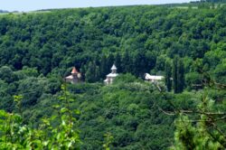 Rezervatia Rudi-Arionesti – un monument creat de natura