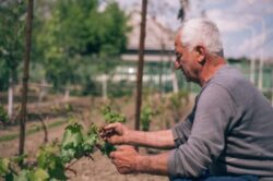 Indragostit de pamant si natura nu s-a gandit niciodata sa plece din tara