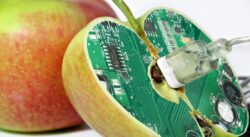 Plante modificate genetic pentru continut sporit de nutrienti ar putea fi cultivate in cateva luni in Marea Britanie