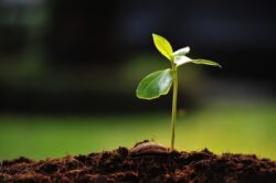 Coalitia Natura 2000 atrage atentia asupra subfinantarii ariilor protejate