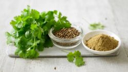 Corinadrul, condiment si medicament