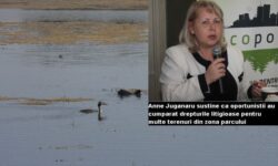 Parcul Natural Urban Vacaresti va transforma Romania intr-o Arca a lui Noe pentru toate tarile europene