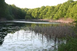 Miliarde platite pentru Lacul cu nuferi
