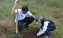 Elevii de la Scoala Gimnaziala din Soimus: „Planteaza un arbore, planteaza-ti viitorul”