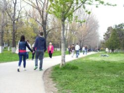 Ziua verde la Constanta: actiune de ecologizare in zona Lacul Tabacariei