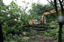 Ministerul Mediului ii trimite la plimbare pe bucurestenii care cer masuri pentru oprirea distrugerii Parcului Lumea Copiilor