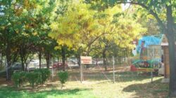 Organizatiile de tineret incheie acord pentru mediul inconjurator